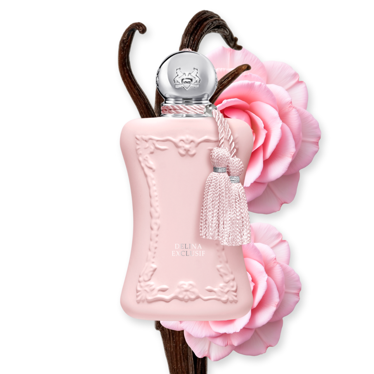 DELINA EXCLUSIF - Image 3