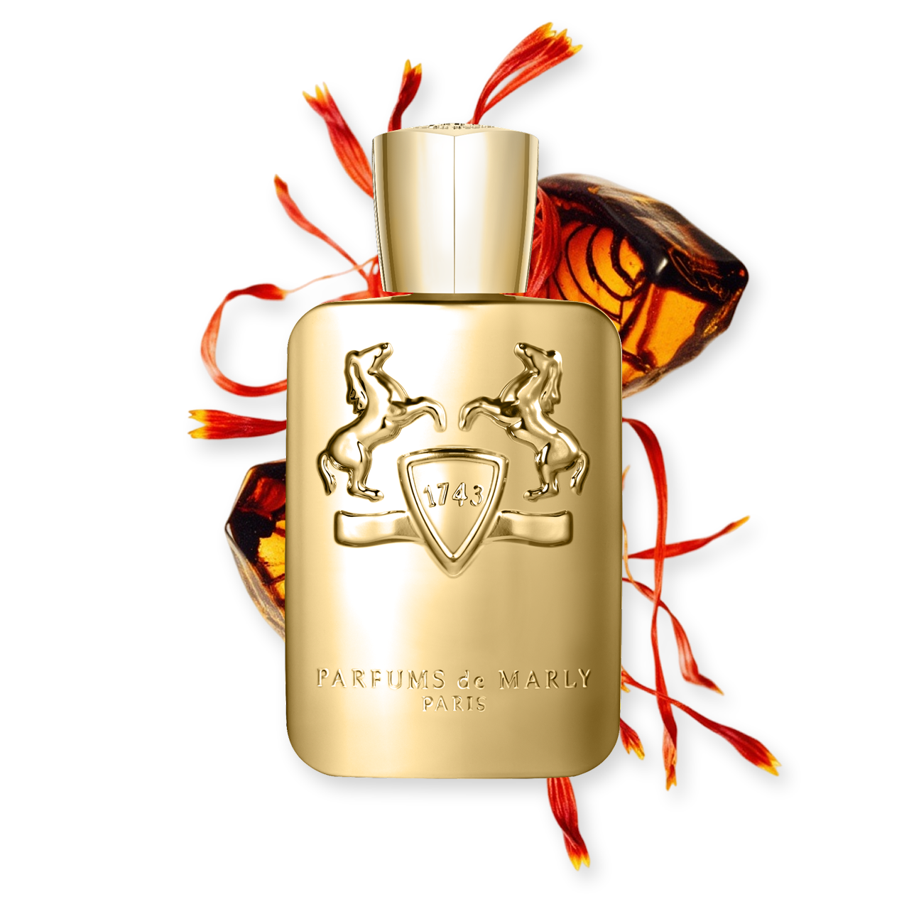 GODOLPHIN - Image 4
