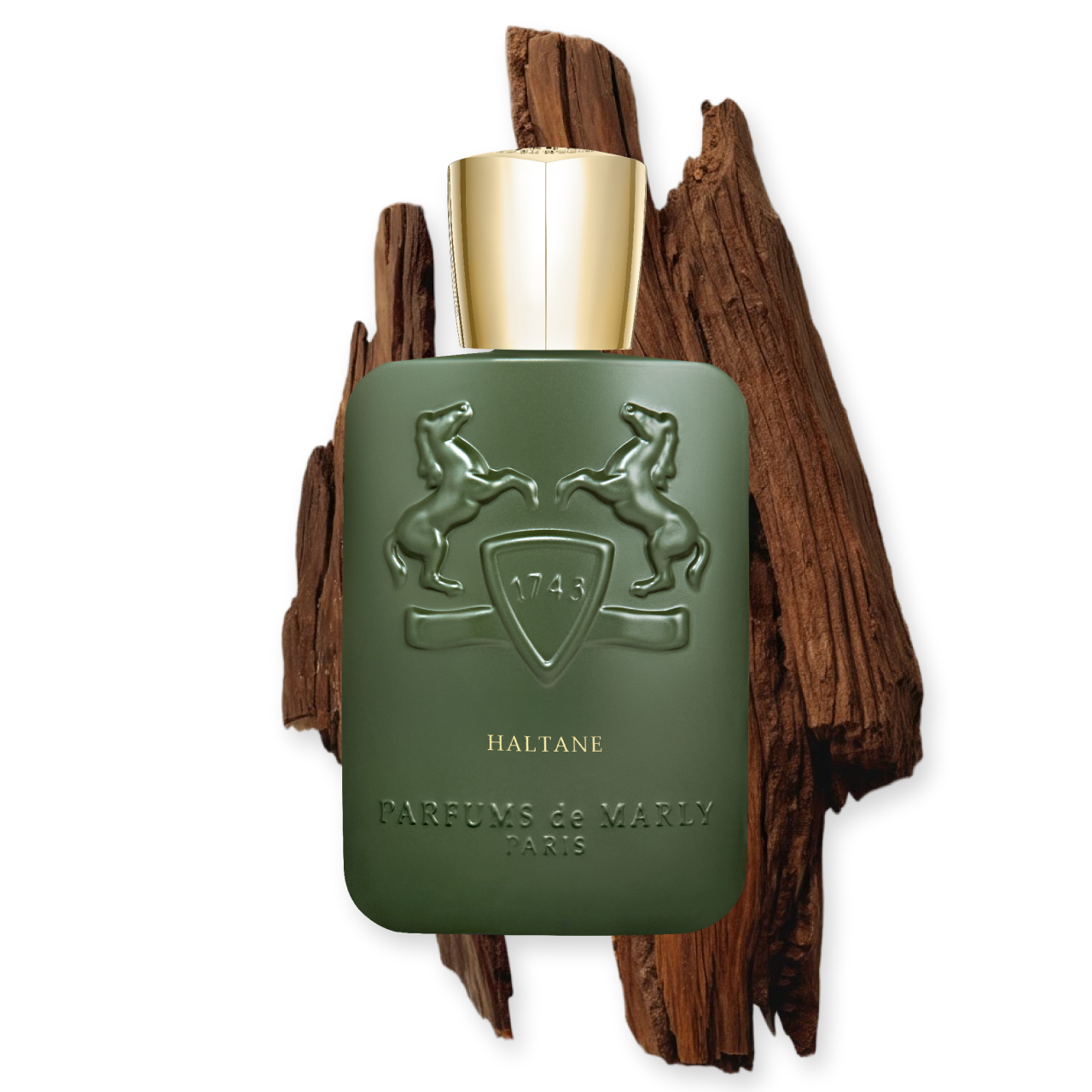 HALTANE - Image 4
