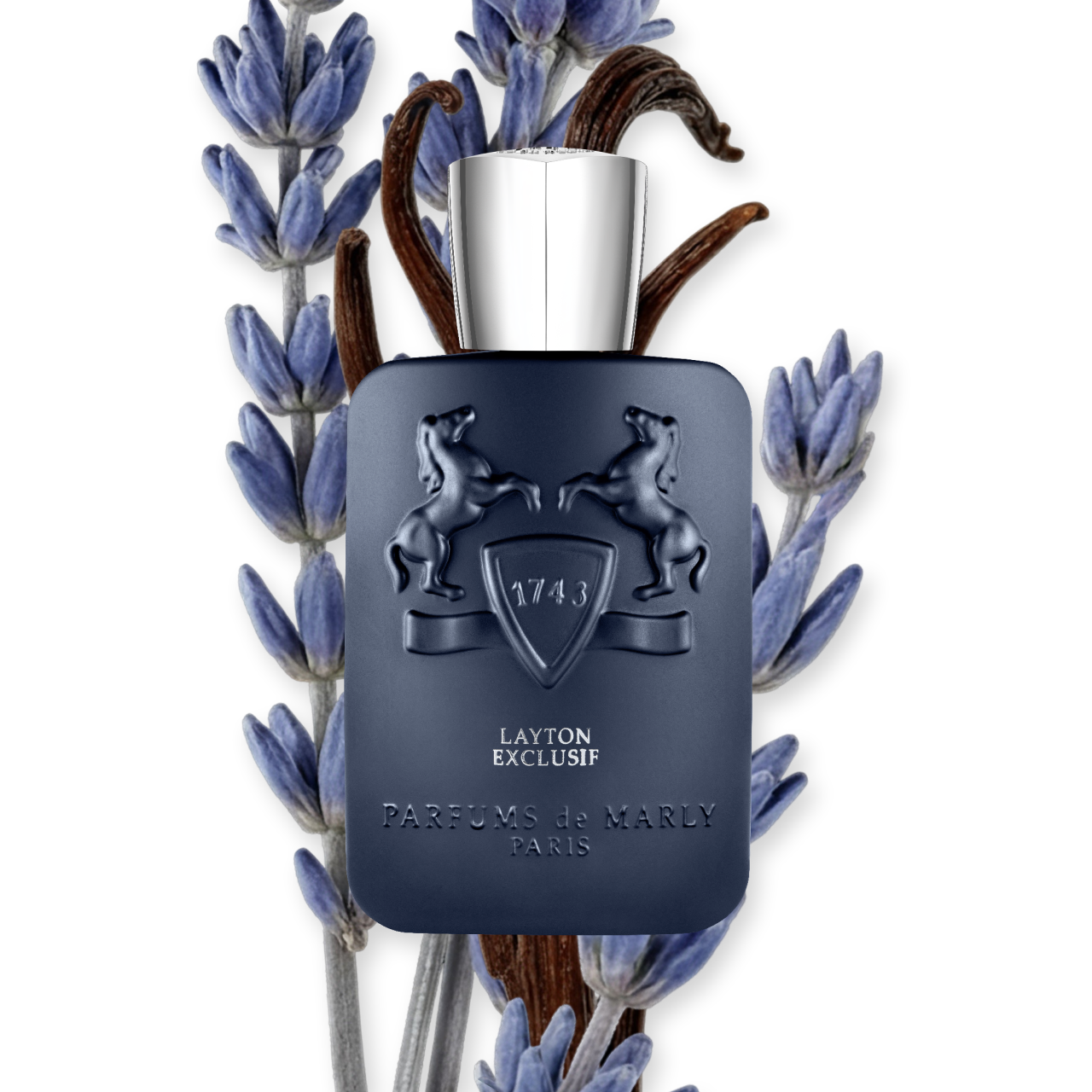 LAYTON EXCLUSIF - Image 5
