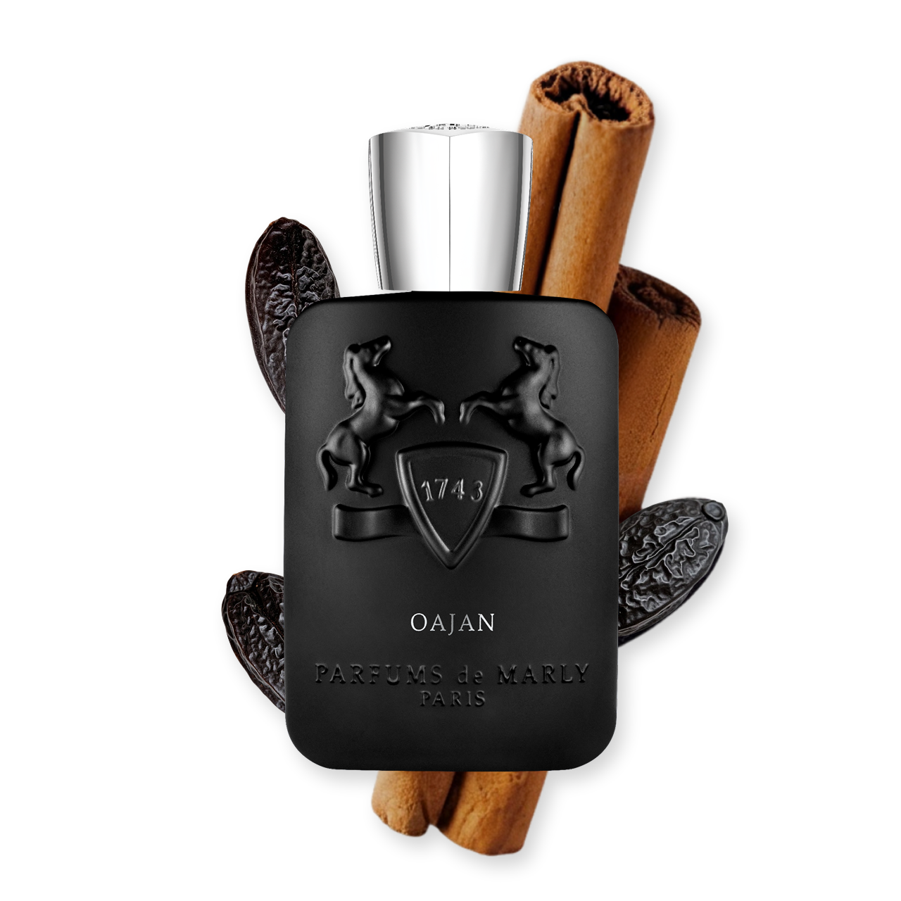 OAJAN - Image 3