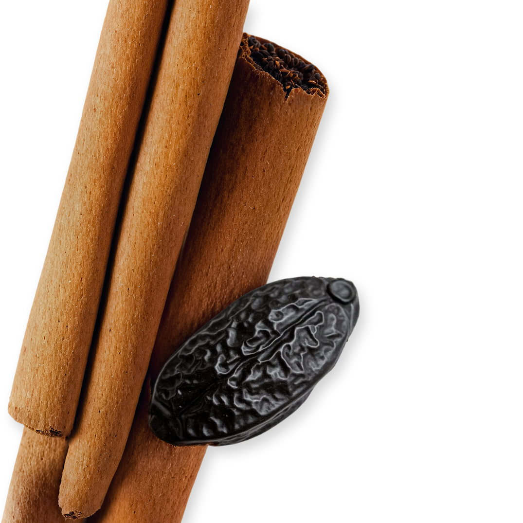 OAJAN - Image 4