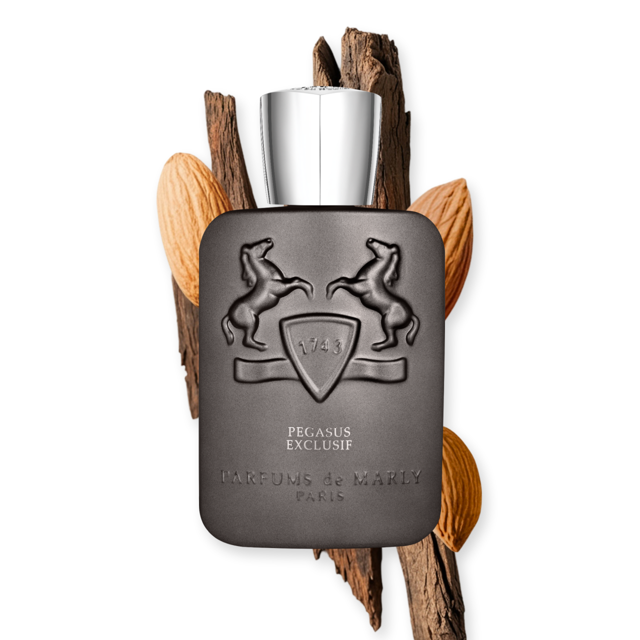 PEGASUS EXCLUSIF - Image 4