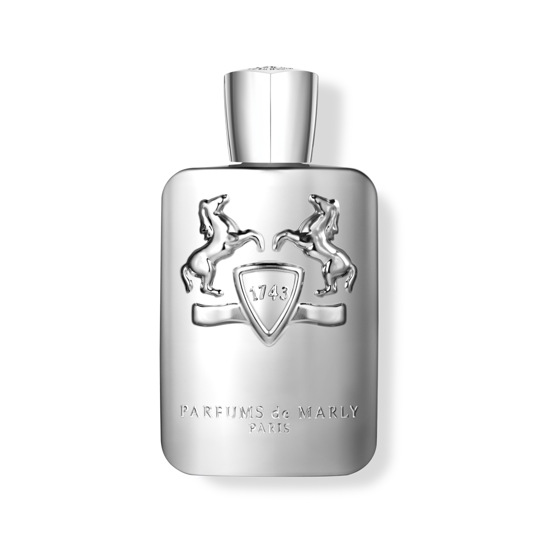 PEGASUS - Image 4