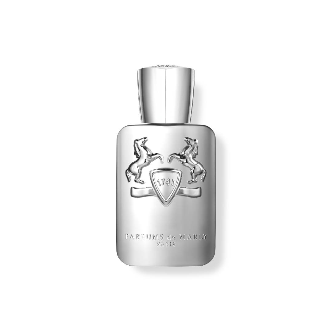 PEGASUS - Image 3