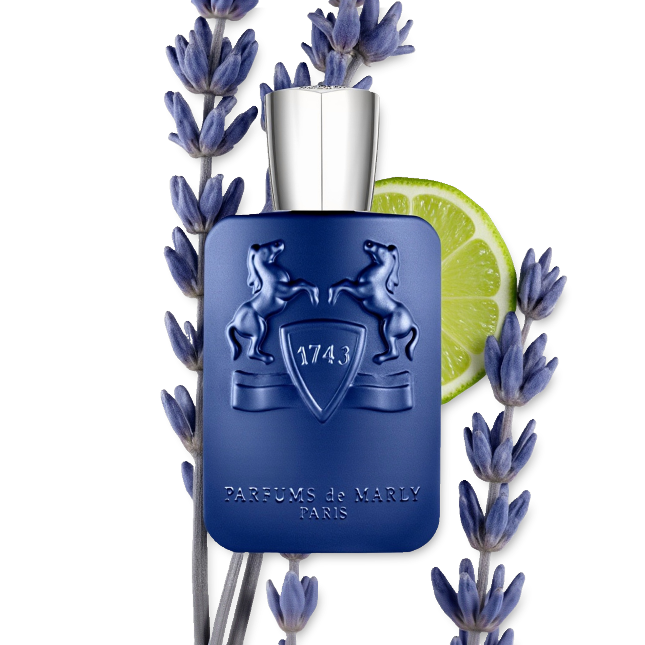 PERCIVAL - Image 5