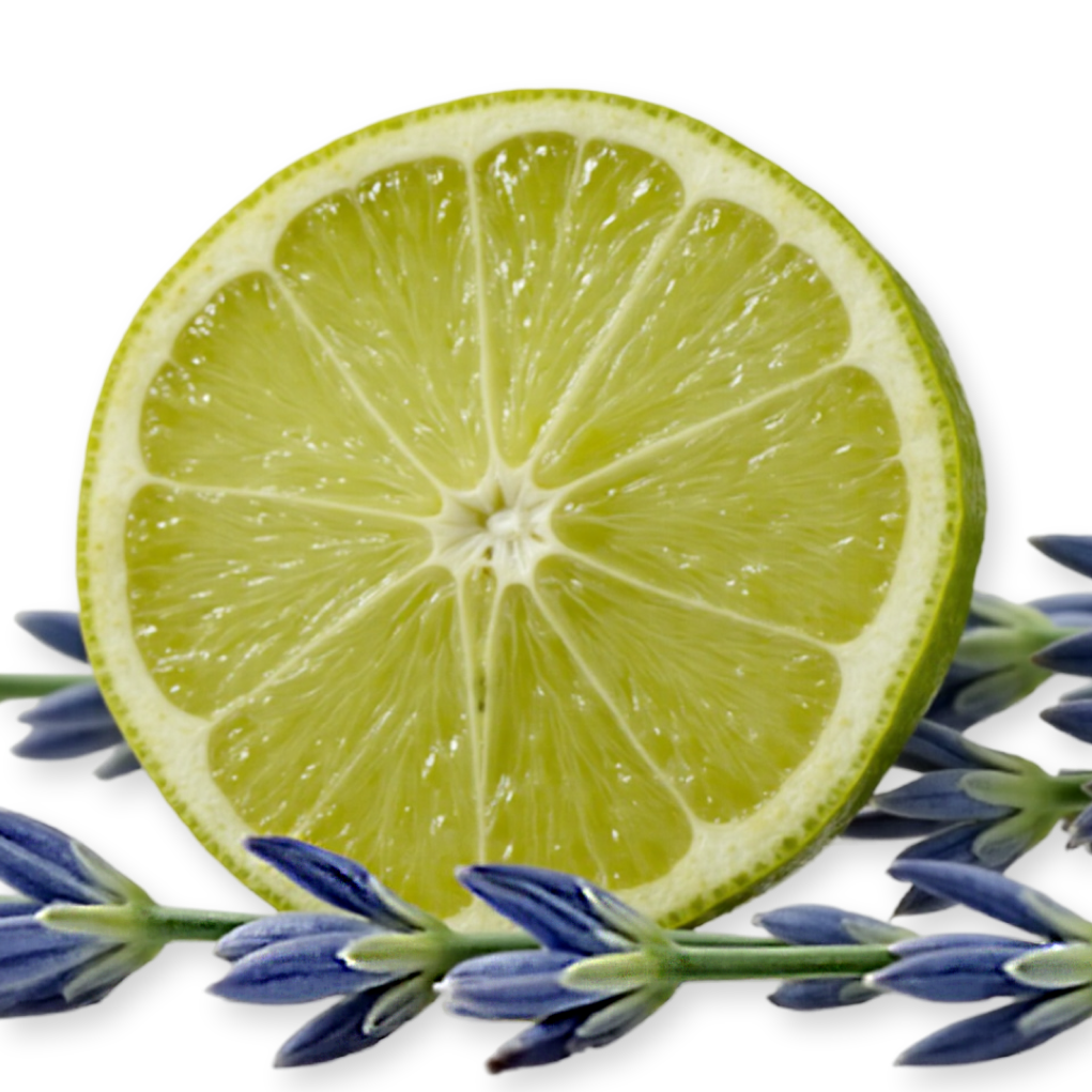 PERCIVAL SHOWER GEL - Image 3