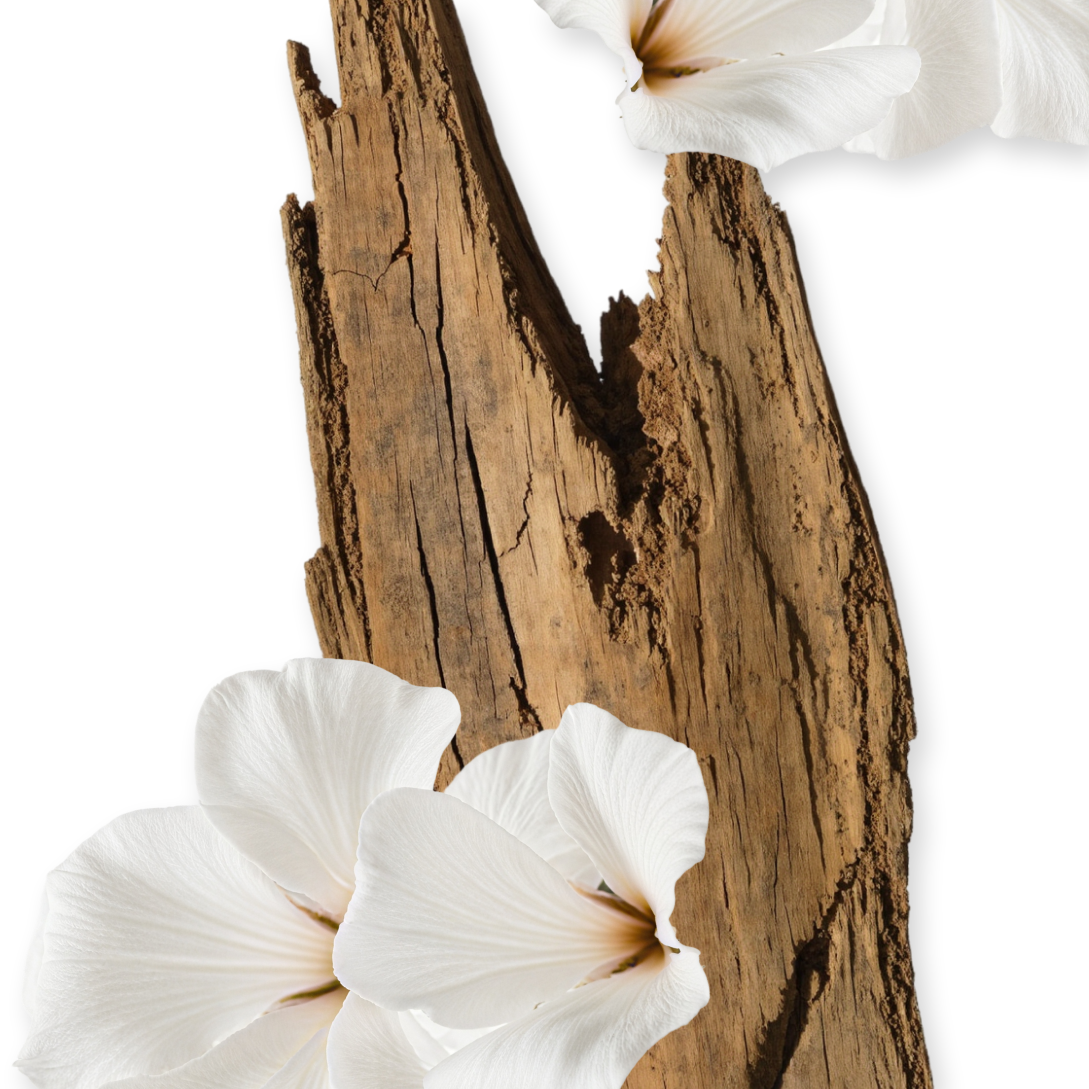 VALAYA REFILLABLE BODY CREAM - Image 3